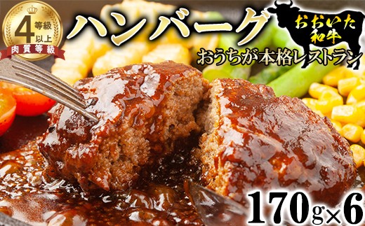 【日付指定可】おおいた和牛 ハンバーグ (170g×6)【ニード牧場】 高級 国産 ブランド 牛肉 九州 大分県 冷凍 黒毛 和牛 豊後牛 人気 お肉 日本一 受賞 お楽しみ カレー おすすめ ランキング ＜129-002＞
