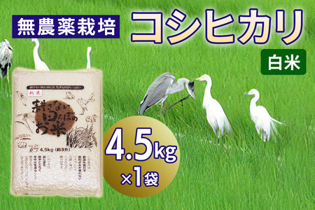 無農薬栽培 コシヒカリ 白米＜4.5kg＞ | 米 お米 コメ ご飯 お取り寄せ 贈り物 上原農場 埼玉県 杉戸町