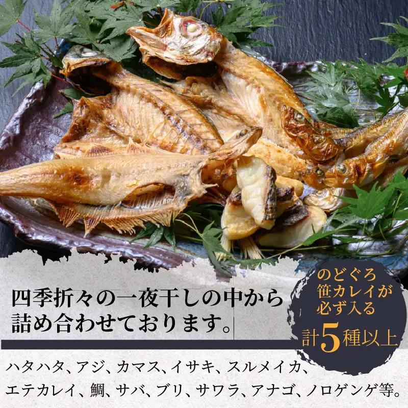 のどくろ、笹カレイ入り 一夜干し詰め合わせ ゴールド｜干物