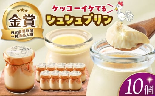 ケッコーイケてるシュシュプリン10個セット　長崎県/有限会社シュシュ [42AEAA009]