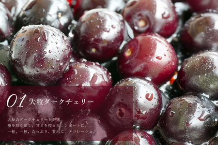 ケーキ タルト 贅沢 ダークチェリー タルト 1ホール 14cm [心優-Cotoyu Sweets- 長崎県 平戸市 hr42bgy420097]