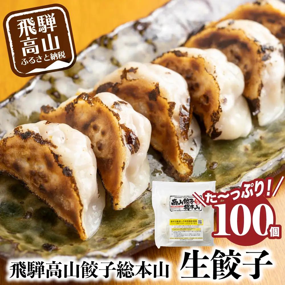 【ふるなび限定】餃子 100個入 餃子  FN002 FN-Limited-PR