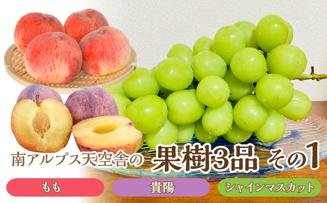 
                  南アルプス天空舎の果樹3品その1（もも,貴陽,シャインマスカット） ALPAB009
                