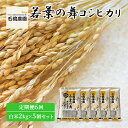 【ふるさと納税】米 若葉の舞 コシヒカリ 白米2kg×5個セット 定期便6回 こしひかり セット 定期便 お米 白米 精米 千葉 千葉県 低温保存　定期便