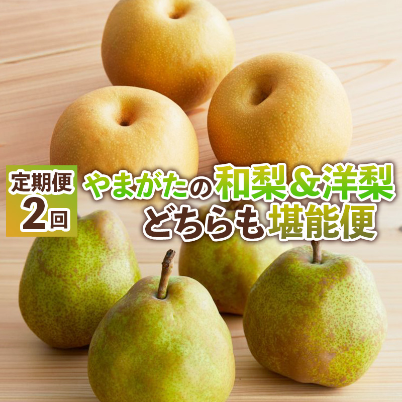 【定期便2回】やまがたの和梨＆洋梨どちらも堪能便【令和8