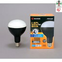 【ふるさと納税】LED電球 e39 投光器 led 屋外 LDR45D-H-E39 投光器用交換電球 e39 作業灯 防水 投光器 LED作業灯 5500ml LED投光器 昼光色 LED ワークライト クランプライト 作業場 アイリスオーヤマ | 新生活