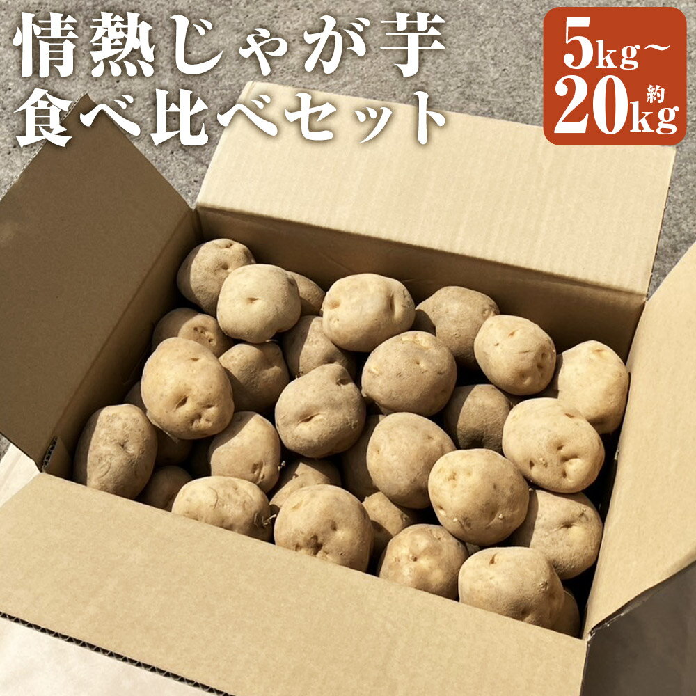 【ふるさと納税】【先行受付】情熱じゃがいも（男爵・キタアカリ） 食べ比べセット ＜選べる内容量＞計約5kg（各約2.5kg） / 計約10kg（各約5kg） / 計約20kg（各約10kg） ジャガイモ 野菜 詰め合わせ 国産 北海道産 京極町 送料無料 【2026年10月上旬～12月上旬迄発送予定】