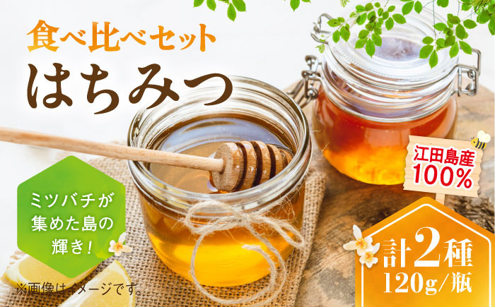 
            江田島産100％ はちみつ 2種食べ比べセット（120g×3本） ハチミツ 蜂蜜 国産 広島 江田島市/はつはな果蜂園 [XCD007] ハチミツ 国産蜂蜜 国産はちみつ 国産純粋はちみつ 蜜 蜂蜜 はちみつ ハニー honey 人気ハチミツ 日本蜜蜂 純粋はちみつ 常温 保存 備蓄 防災食 非常食 保存食 産地直送 国産 食べ比べ
          