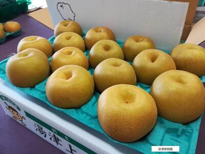 深澤果樹園さんの梨ギフト［あきづき］2.5kg