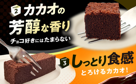 【訳あり】ざく切り チョコレートブラウニー 500g×2袋 広川町 / イートウェル株式会社[AFAK310]