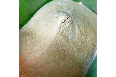 学校給食などの天ぷら油が大変身！地球に優しいエコなEM菌入石けん 海の京都 京丹後からお届け/粉石けん200g×3本＋固形石鹸3個