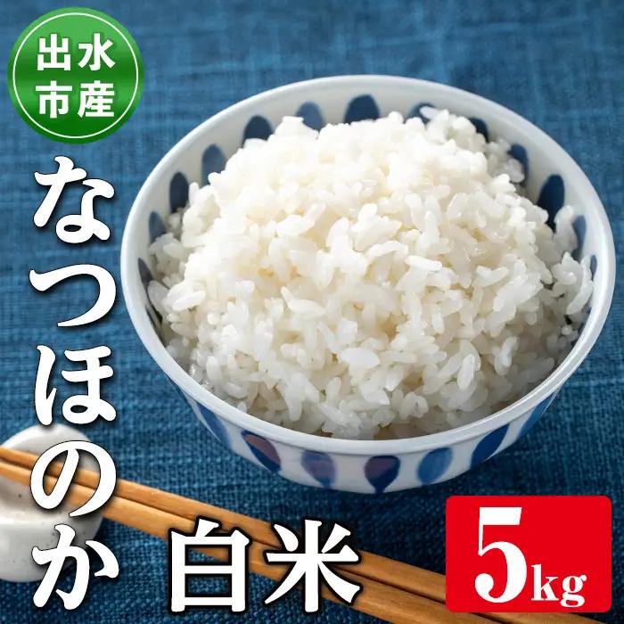 i1120-A 鹿児島県出水市産なつほのか白米＜5kg＞ 米 お米 5kg 白米 なつほのか 自家精米 精米 自家脱穀 脱穀 おにぎり ごはん お米マイスター 厳選 【田上商店】