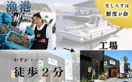 生しらす お刺身 800g 小分け 岬だより 生しらす刺し身