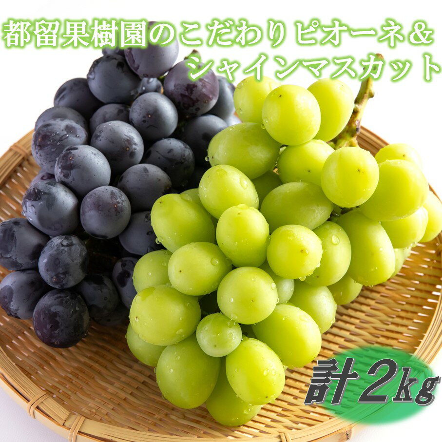 【ふるさと納税】令和7年発送 数量限定 都留果樹園のこだわりピオーネ＆シャインマスカット 計2kg ニューピオーネ シャインマスカット 先行予約 種無し フルーツ
