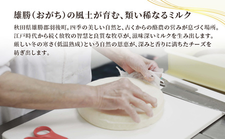 【2ヶ月毎全2回お届け】秋田 羽後 チーズアソート5種/おつまみセット［明通りチーズ工房］スカモルツァ2種・カマンベールウォッシュ・アヴァ（オリジナル）2種【チーズ アソート 詰合せ セット バラエテ