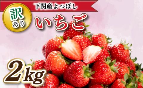 【 4月お届け 】 訳あり いちご よつぼし 2kg 冷蔵 下関 山口