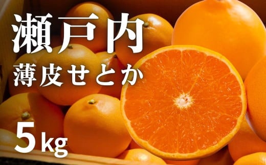 [予約] 2月発送 濃厚! 果汁たっぷり薄皮ハウスせとか 約5kg(20個程度)　広島県 大崎上島町 瀬戸内 柑橘 果物 フルーツ 贈答 ギフト