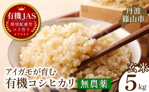 〈令和８年産早期予約〉有機JAS認証 アイガモが育む コシヒカリ 玄米 5kg｜兵庫県 丹波篠山市産 玄米 米 コメ こめ こしひかり 有機栽培 農家直送
