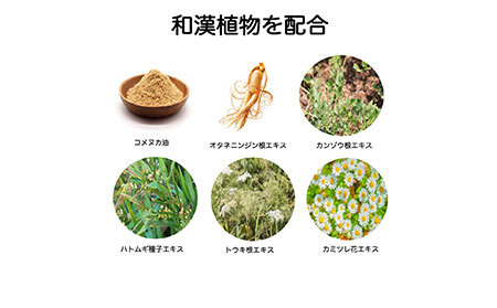 B24-498 【Elvi Grace】美容洗顔石けん80g5個セット ヒト幹細胞　レチノール　保湿　毛穴　黒ずみ　 エイジングケア　ビタミンC　洗顔　無添加