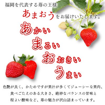【2027年1月下旬～順次発送予定】福岡県産 あまおう 合計約540g 約270g×2パック(水巻町【配送不可地域：離島】