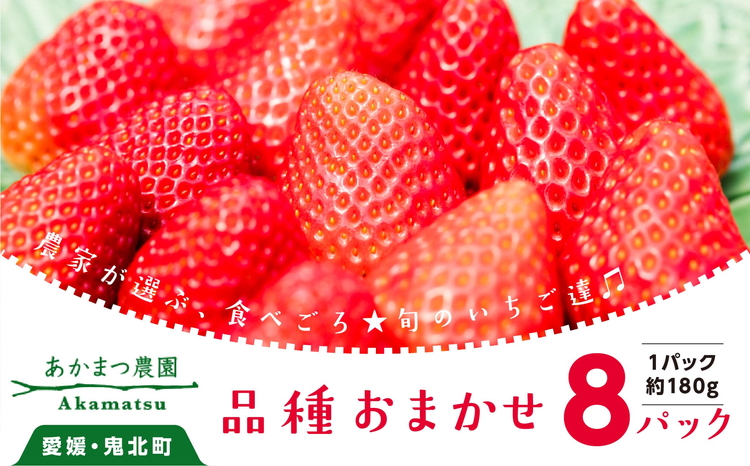 いちご 品種おまかせ8パック あかまつ農園 ＜苺 いちご イチゴ 果物 フルーツ 農家直送 レッドパール 紅い雫 紅ほっぺ 贈り物 ギフト＞ ※2025年2月中旬～3月中旬頃に順次発送予定