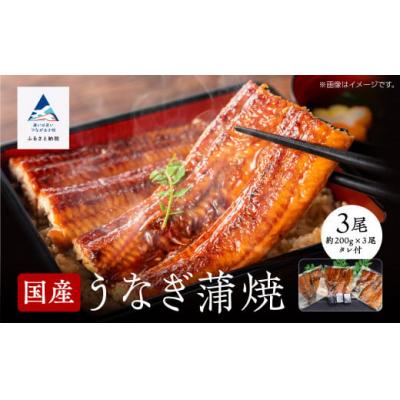 ふるさと納税 小松市 国産うなぎ蒲焼 3尾(各200g) 関西風うなぎの蒲焼き ※真空包装でお届け
