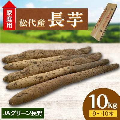 ふるさと納税 長野市 【先行受付】JAグリーン長野　松代産　長芋　10kg(9〜10本)　家庭用