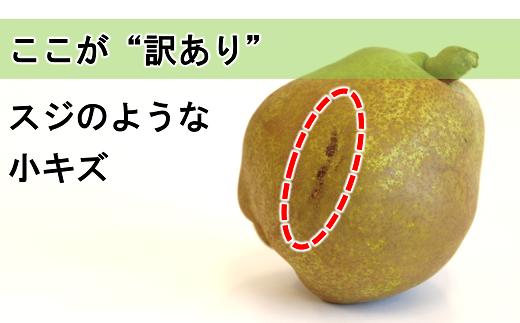 〈訳あり品 家庭用〉 ラ・フランス 約5kg (10～18玉) 《令和6年10月下旬～発送》 『旬の果実 佐藤市右衛門農園』 ラフランス 西洋梨 洋なし 訳あり 果物 フルーツ デザート 山形県 南陽