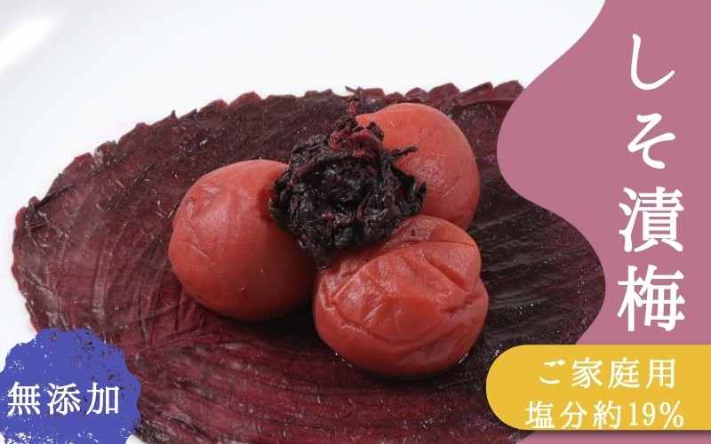 
                  ご家庭用梅干し　無添加しそ漬け梅　500g / みなべ町 梅干 うめぼし ウメ しそ梅 紫蘇漬け梅 家庭用 紀州南高梅 南高梅 簡易包装 お弁当 おにぎり【mrt015】
                