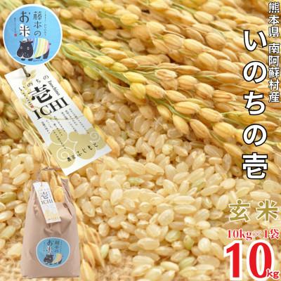 ふるさと納税 南阿蘇村 熊本県南阿蘇村産 令和7年産 特別栽培米 いのちの壱(玄米) 10kg×1袋【虹色のかば】