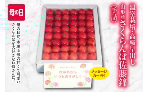 《先行予約 2026年度発送》フルーツ王国山形 山形さくらんぼ 佐藤錦 特秀品 Lサイズ300g 手詰 母の日メッセージカード付 FSY-0412