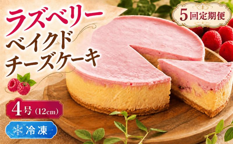 
                  5回 定期便 ラズベリーベイクド チーズケーキ 4号 12cm 冷凍 スイーツ デザート ケーキ ベリー 洋菓子 お菓子 おやつ 手作り お取り寄せ ご褒美 ギフト プレゼント 贈り物 誕生日 記念日 パーティー 濃厚 クリーミー 酸味 爽やか サワークリーム クッキー バター 専門店 チーズケーキ工房 ちーず屋 数量限定 人気 おすすめ ランキング 5ヶ月連続 頒布会 高知県 安芸市
                