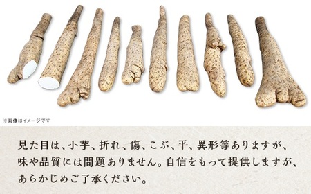 【訳あり】それでも美味しい！こだわって作った産地直送 長野県山形村産 長芋 4kg 箱入れ