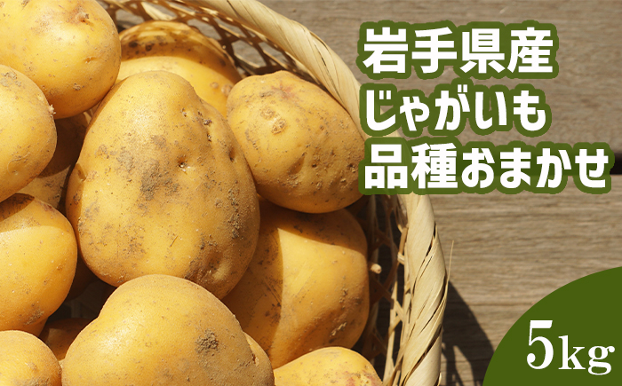 ＜2026年8月中旬発送開始予定＞ 岩手県産 じゃがいも 品種おまかせ （ きたあかり または はるか ） 5kg 【松浦農園】／ ジャガイモ じゃが芋 芋 いも 馬鈴薯 ばれいしょ ポテト