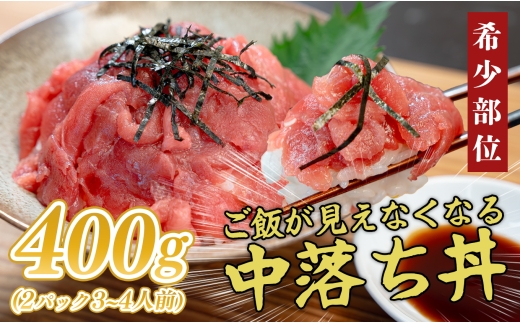 マグロ 中落ち まぐろ 400g｜本マグロ 本まぐろ 鮪 刺身 さしみ 刺し身 ネギトロ ねぎとろ まぐろたたき 年末 年始 正月 贅沢 おもてなしセレクション 金賞 受賞 ランキング 人気 高知県 大月町