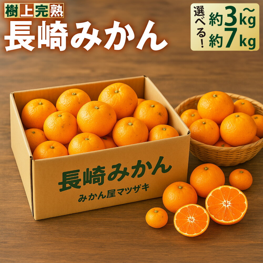 【ふるさと納税】【樹上完熟】 長崎みかん (普通温州) 選べる容量 (約3kg / 約5kg / 約7kg) | 季節限定 温州蜜柑 温州みかん 蜜柑 ミカン 果物くだもの 果実 フルーツ スイーツ デザート 食品 完熟 長崎県 長崎市 常温 送料無料 【2026年12月下旬-2027年1月下旬発送予定】