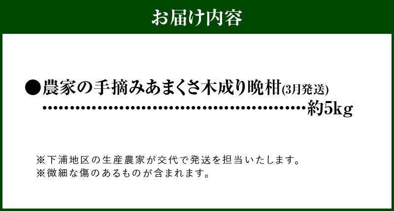 S040-032-03_≪3月発送≫農家の手摘み　あまくさ木成り晩柑　約5kg 3月発送