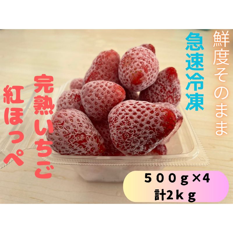 【ふるさと納税】鮮度そのまま!!急速冷凍完熟いちご(紅ほっぺ)500g×4個セット　ふぁいんファーム 果物 冷凍いちご 冷凍フルーツ ストロベリー 国産 　お届け：2025年1月16日～2025年7月15日