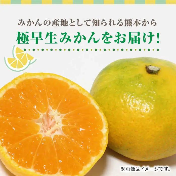 【先行予約】極早生みかん 約10kg　2S〜2Lサイズ　【くまふる】[ZBG054]