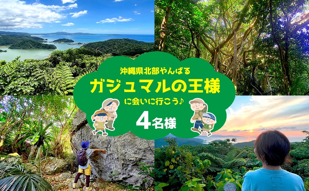 沖縄県北部やんばる・ガジュマルの王様に会いに行こう♪【4名様】