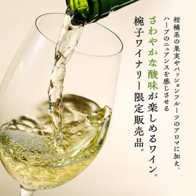 ふるさと納税 上田市 椀子ソーヴィニヨン・ブランミッドナイト・ハーベストアンウッデッド 750ml3本[54041148] |  | 01