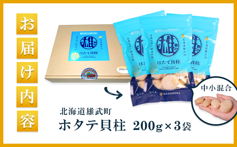 北海道雄武町産ほたて貝柱 中小混合 200g×3 (冷凍) 使い切りパック【07134】