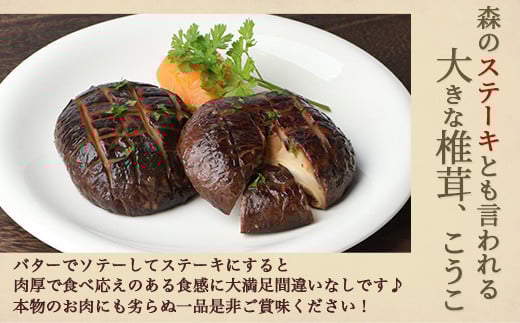 画像はイメージです