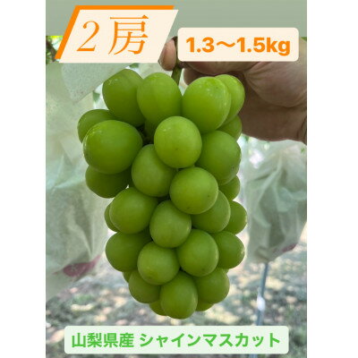 【ふるさと納税】【2025年先行予約】シャインマスカット2房1.3~1.5kg【配送不可地域：離島】【1508023】