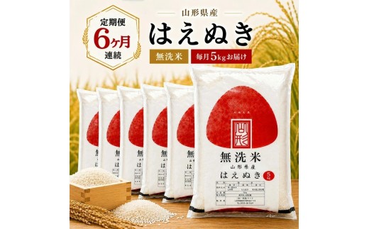 【定期便】無洗米はえぬき5kg×6ヶ月連続中旬発送 計30kg（10月～3月）