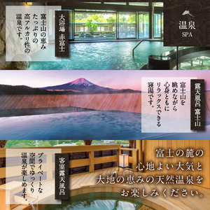ホテル鐘山苑　宿泊券E