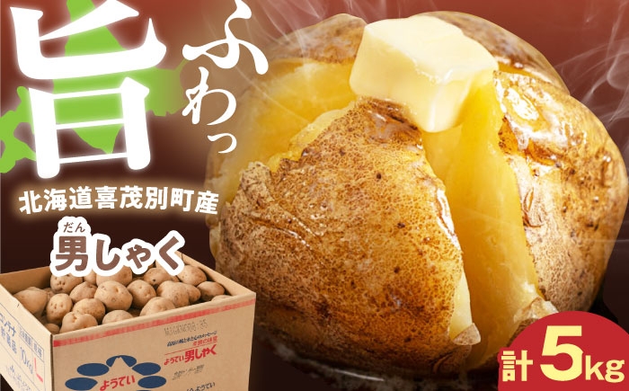 
                  【9月下旬以降順次発送】じゃがいも 男爵芋 5kg 《喜茂別町》【Aコープようてい】 じゃがいも いも 芋 ジャガイモ イモ 野菜 男爵 北海道 ポテト 国産 産地直送 旬 お取り寄せ 常温 [AJAK027]
                