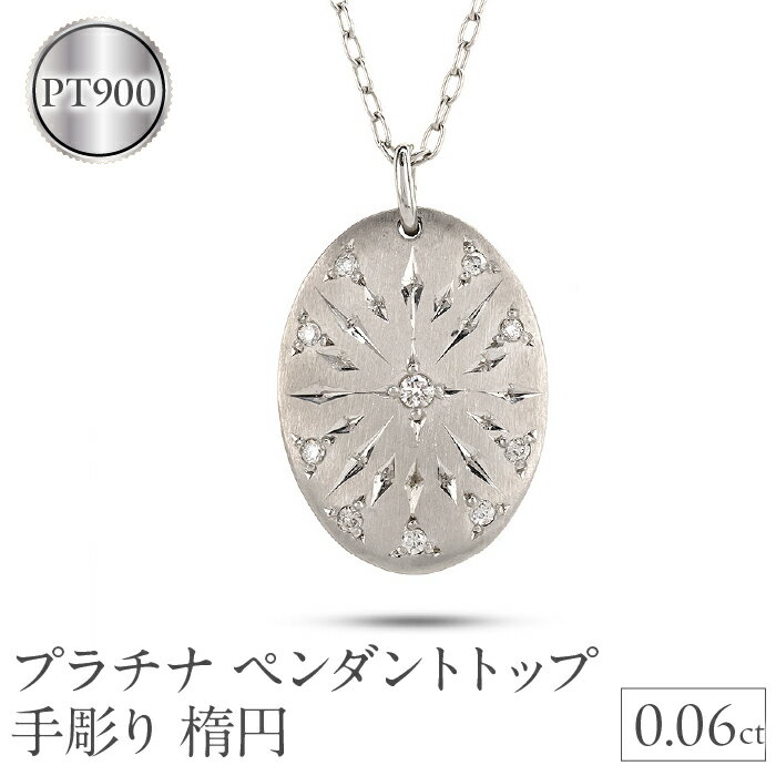 【ふるさと納税】プラチナ ペンダントトップ ダイヤ ダイヤモンド ネックレス プレート pt900 楕円 オーバル ジュエリー プレゼント 記念日 人気 山梨県 昭和町 送料無料 管理番号231011mro101dp SWAA143