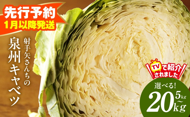 
                  【先行予約】泉州キャベツ 5kg／10kg／20kg【家計応援 新鮮 野菜 やさい 射手矢農園 高評価 きゃべつ 訳あり サイズ不揃い 選べる内容量】
                
