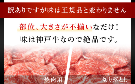 神戸牛【訳あり】800g(各400g) 神戸牛切り落とし肉 ・焼肉用 牛肉 黒毛和牛